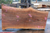 Sycamore Slab 082224-6