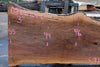 Sycamore Slab 082224-6