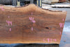 Sycamore Slab 082224-6