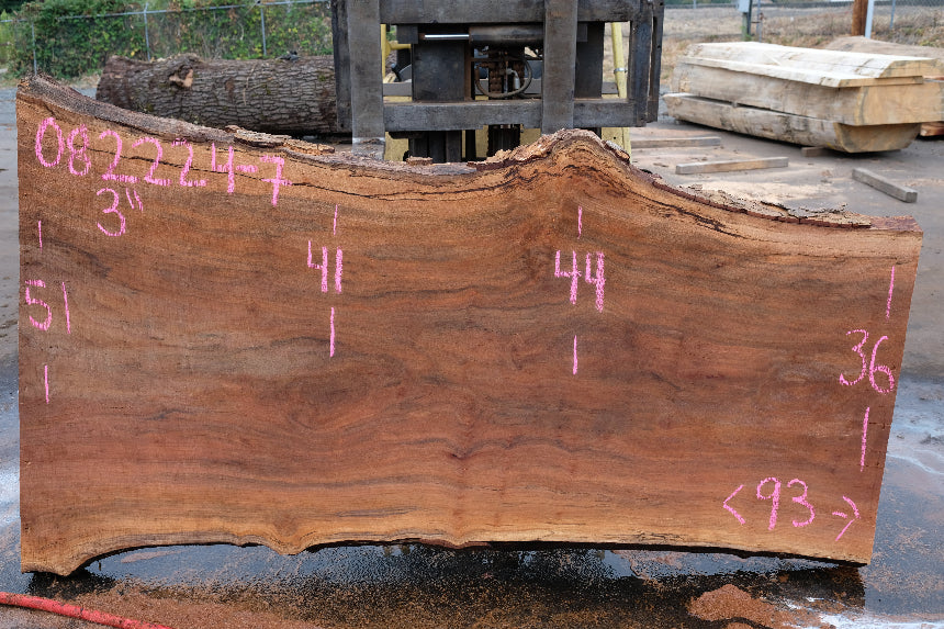 Sycamore Slab 082224-7