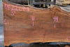 Sycamore Slab 082224-7