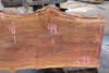 Sycamore Slab 082224-7