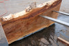Sycamore Slab 082224-8