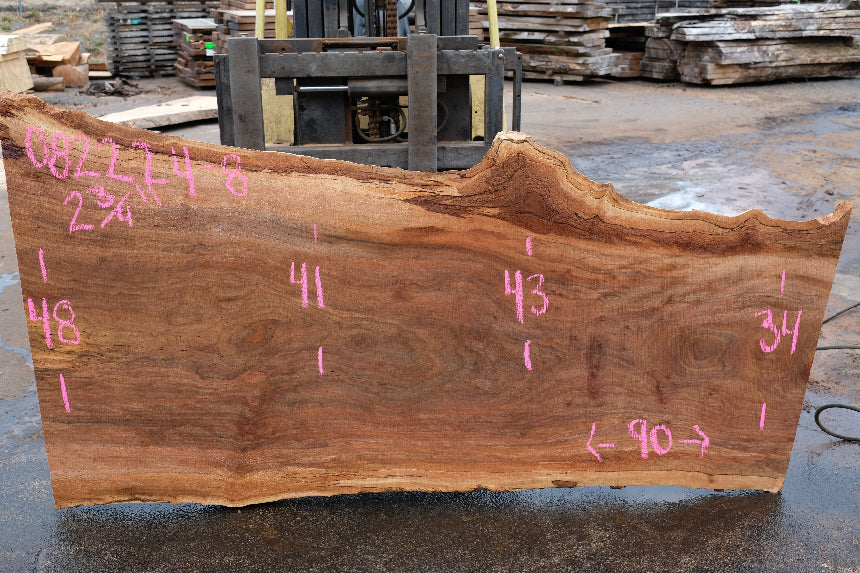 Sycamore Slab 082224-8