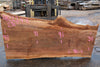 Sycamore Slab 082224-8