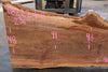 Sycamore Slab 082224-8
