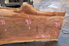 Sycamore Slab 082224-8