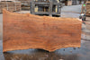 Sycamore Slab 082224-9