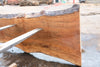 Sycamore Slab 082224-9