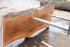 Sycamore Slab 082224-9