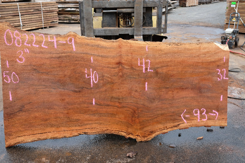 Sycamore Slab 082224-9