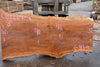 Sycamore Slab 082224-9