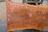 Sycamore Slab 082224-9