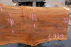 Sycamore Slab 082224-9