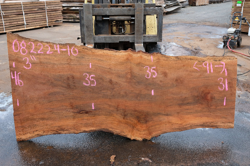 Sycamore Slab 082224-10