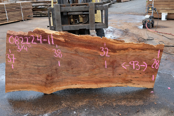 Sycamore Slab 082224-11