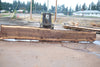 Oregon Black Walnut Slab 090424-1