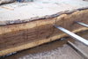 Oregon Black Walnut Slab 090424-1