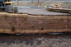 Oregon Black Walnut Slab 090424-1