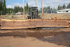 Oregon Black Walnut Slab 090424-2