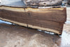 Oregon Black Walnut Slab 090424-2
