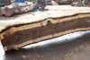 Oregon Black Walnut Slab 090424-2
