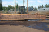 Oregon Black Walnut Slab 090424-2