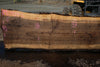 Oregon Black Walnut Slab 090424-2
