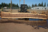 Oregon Black Walnut Slab 090424-3