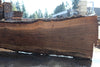 Oregon Black Walnut Slab 090424-3
