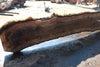 Oregon Black Walnut Slab 090424-3