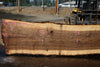 Oregon Black Walnut Slab 090424-3