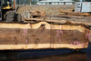 Oregon Black Walnut Slab 090424-3