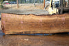 Oregon Black Walnut Slab 090424-4
