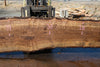 Oregon Black Walnut Slab 090424-4