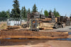 Oregon Black Walnut Slab 090424-5