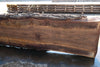 Oregon Black Walnut Slab 090424-5