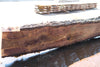 Oregon Black Walnut Slab 090424-5