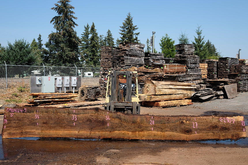 Oregon Black Walnut Slab 090424-5