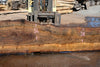Oregon Black Walnut Slab 090424-5