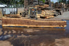 Oregon Black Walnut Slab 090424-6