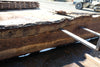 Oregon Black Walnut Slab 090424-6