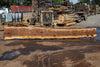 Oregon Black Walnut Slab 090424-6