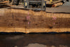 Oregon Black Walnut Slab 090424-6