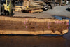 Oregon Black Walnut Slab 090424-6