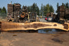 Oregon Black Walnut Slab 090424-7