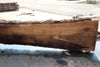 Oregon Black Walnut Slab 090424-7