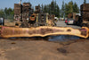 Oregon Black Walnut Slab 090424-7