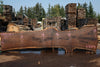 Oregon Black Walnut Slab 090524-1