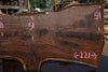 Oregon Black Walnut Slab 090524-1